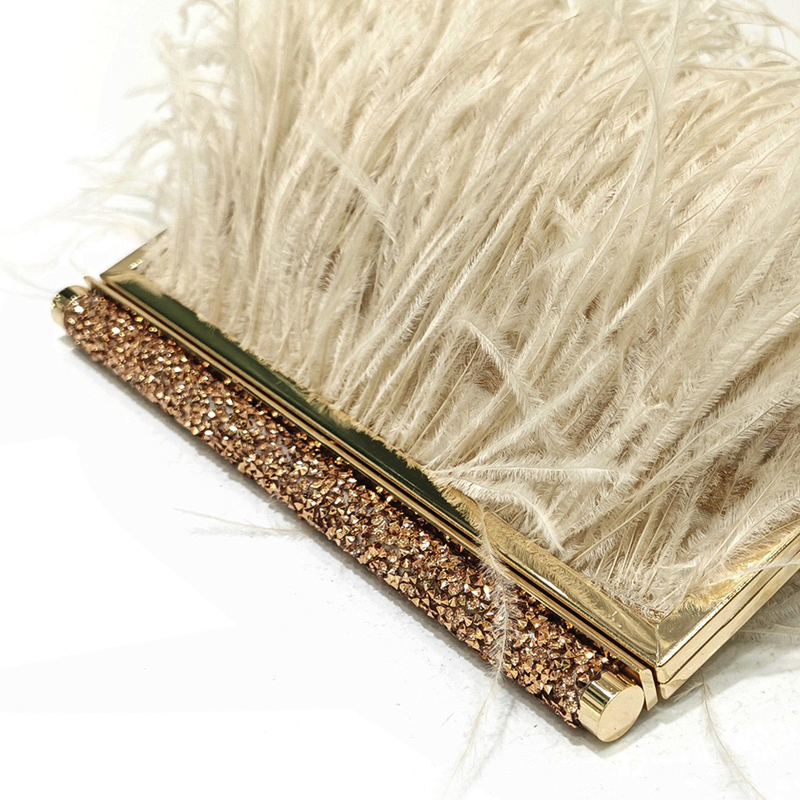 Fashion Clutch Metal frame Eve - Women Bags 2026 Trends บทวิจารณ์และราคา